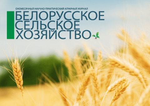 Белорусское сельское хозяйство